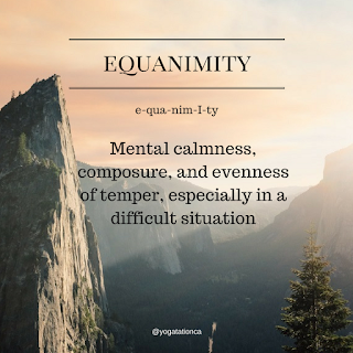 equanimity meaning
