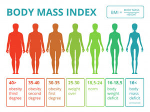 how to figure out bmi and body fat