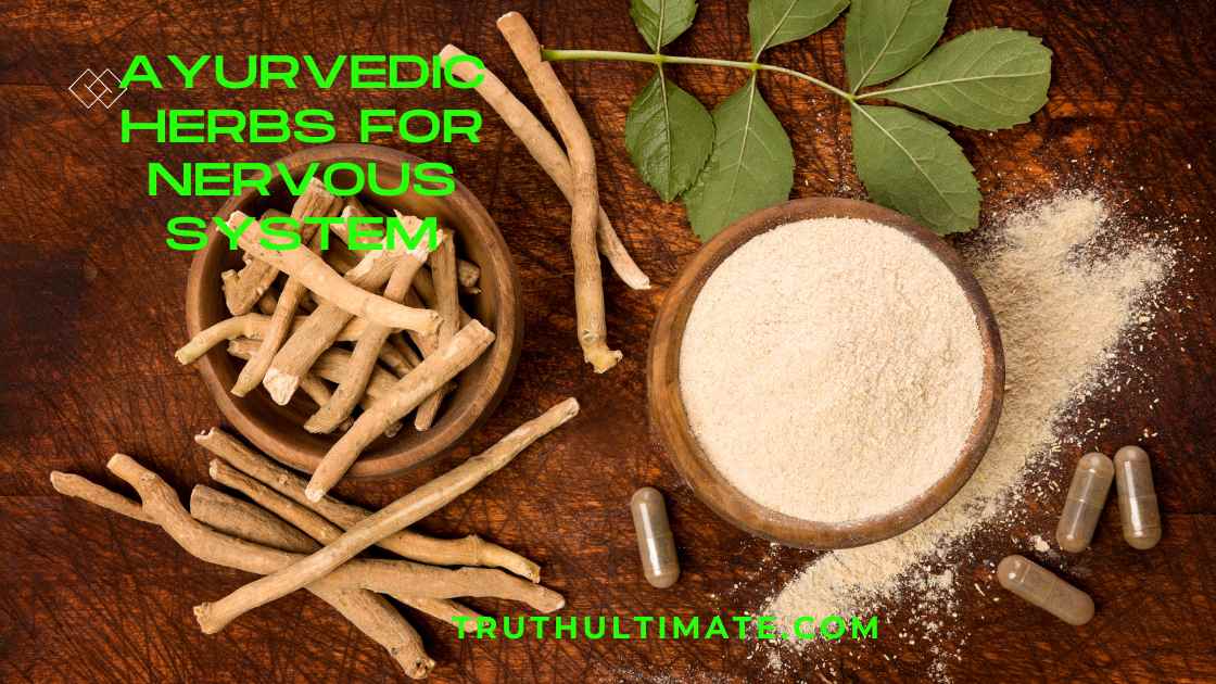 Ayurvedic Herbs for Nervous System