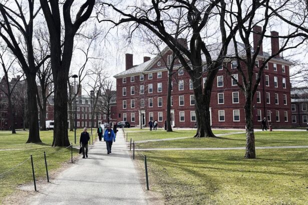 Harvard grants freeze of 2025