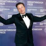Tesla Stock Falling America Party