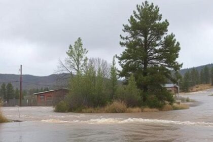 ruidoso flooding today